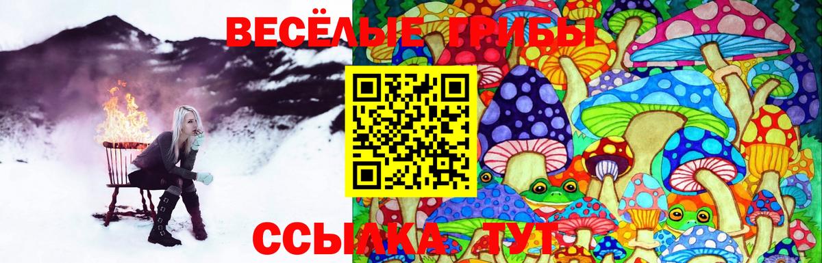 Галлюциногенные грибы Cubensis Благодарный