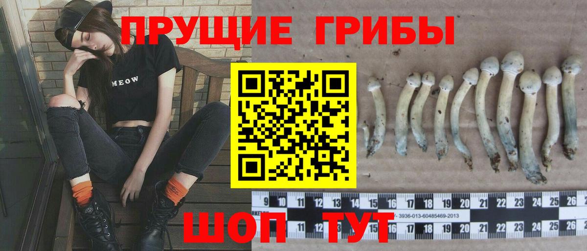Псилоцибиновые грибы мицелий  Вход с VPN  Благодарный 